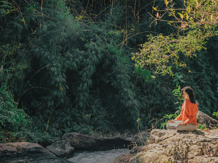Meditation TT