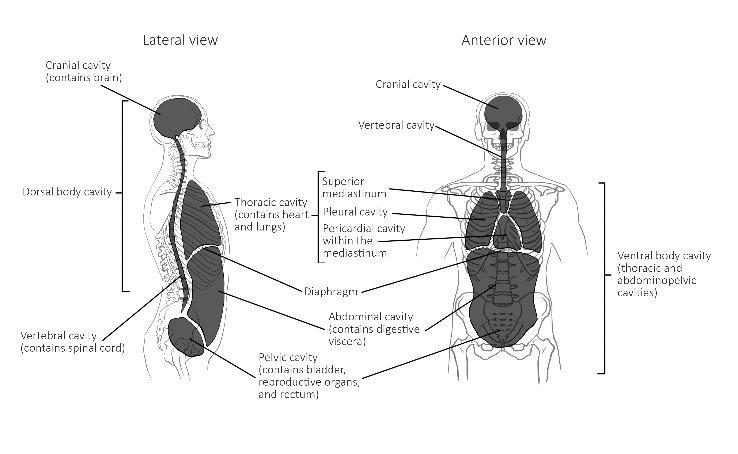 Image4