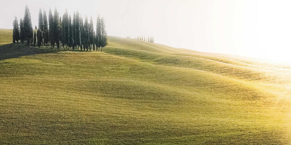 Pexels pat whelen 6369229