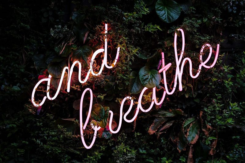 Valeriia bugaiova 702284 unsplash